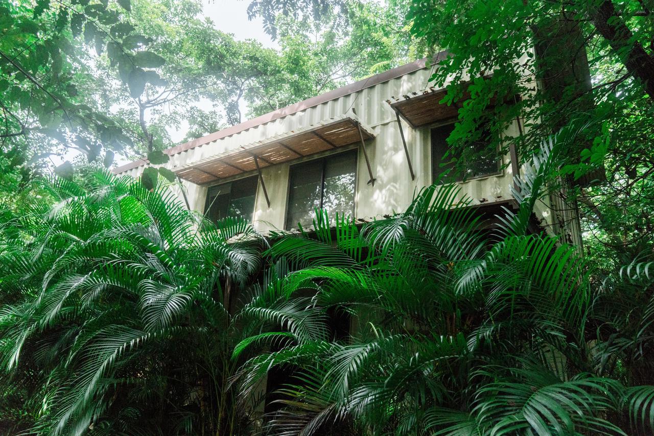 Green Sanctuary Hotel Nosara Eksteriør billede