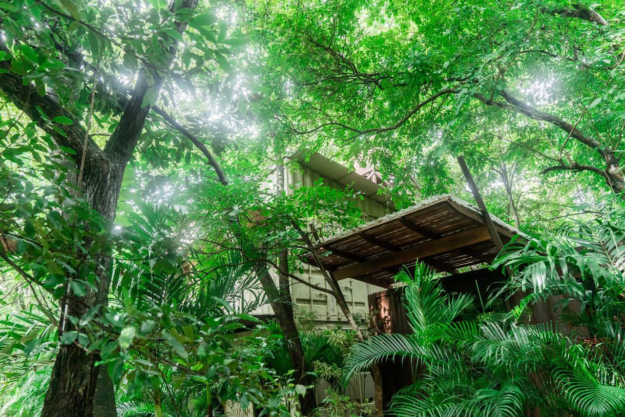 Green Sanctuary Hotel Nosara Eksteriør billede
