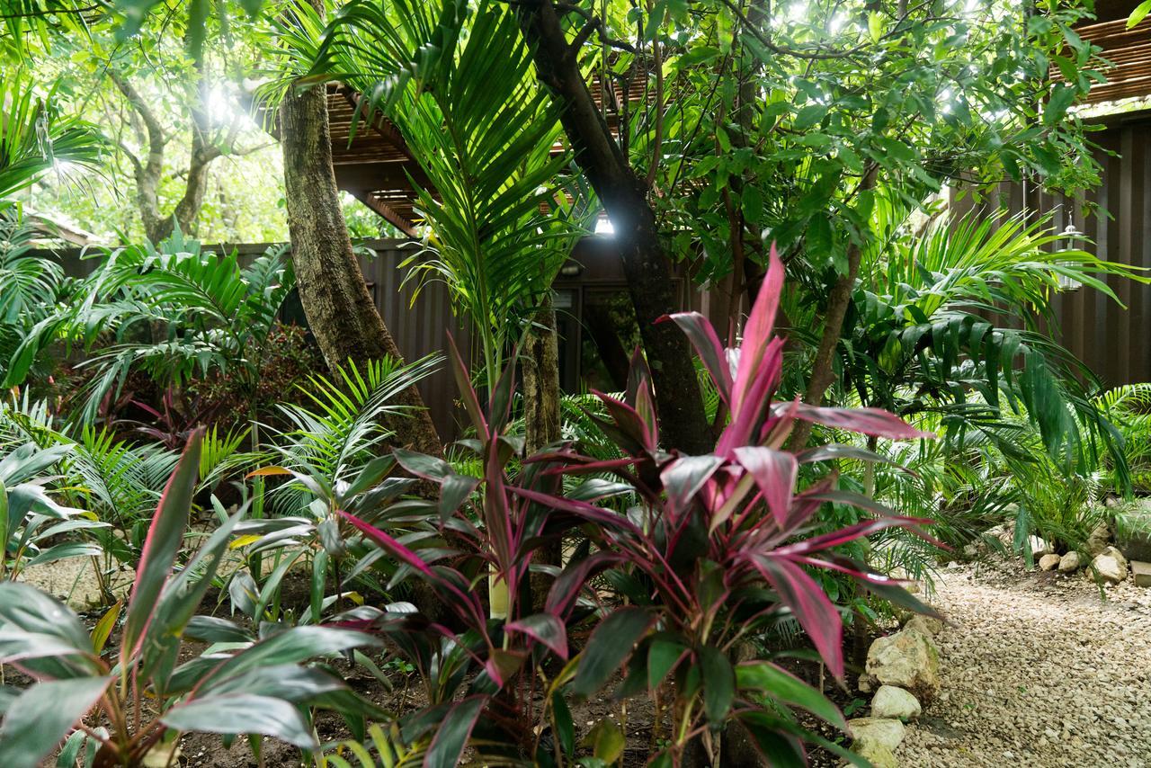 Green Sanctuary Hotel Nosara Eksteriør billede