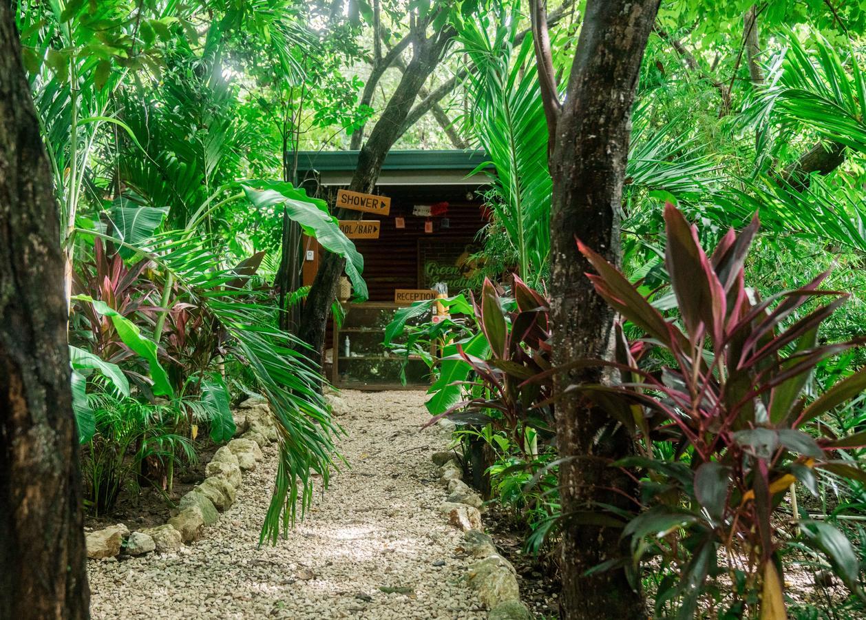 Green Sanctuary Hotel Nosara Eksteriør billede