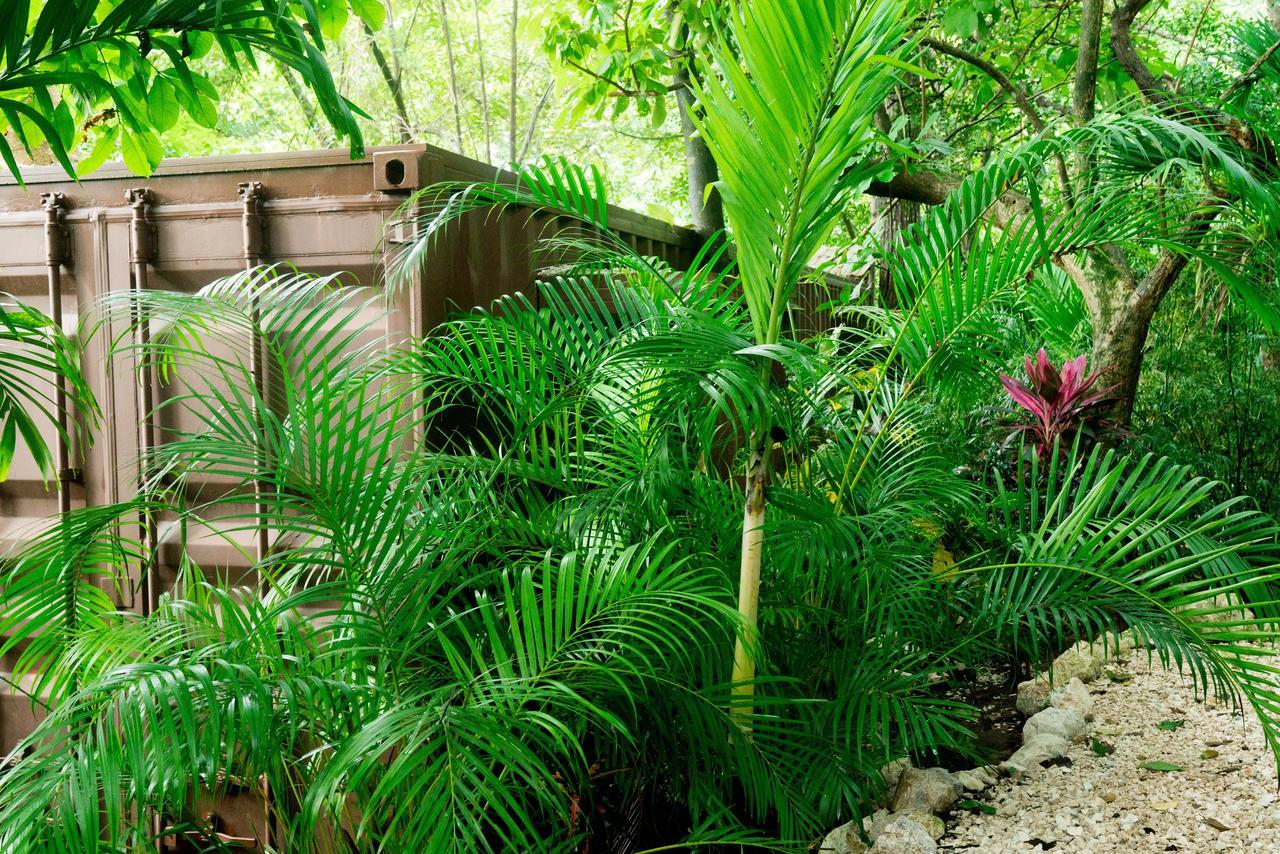 Green Sanctuary Hotel Nosara Eksteriør billede