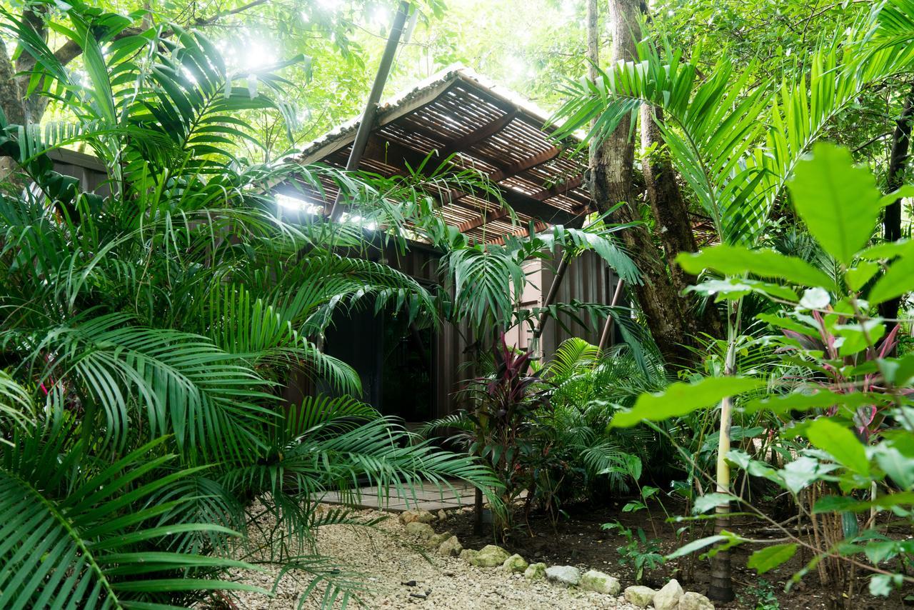 Green Sanctuary Hotel Nosara Eksteriør billede