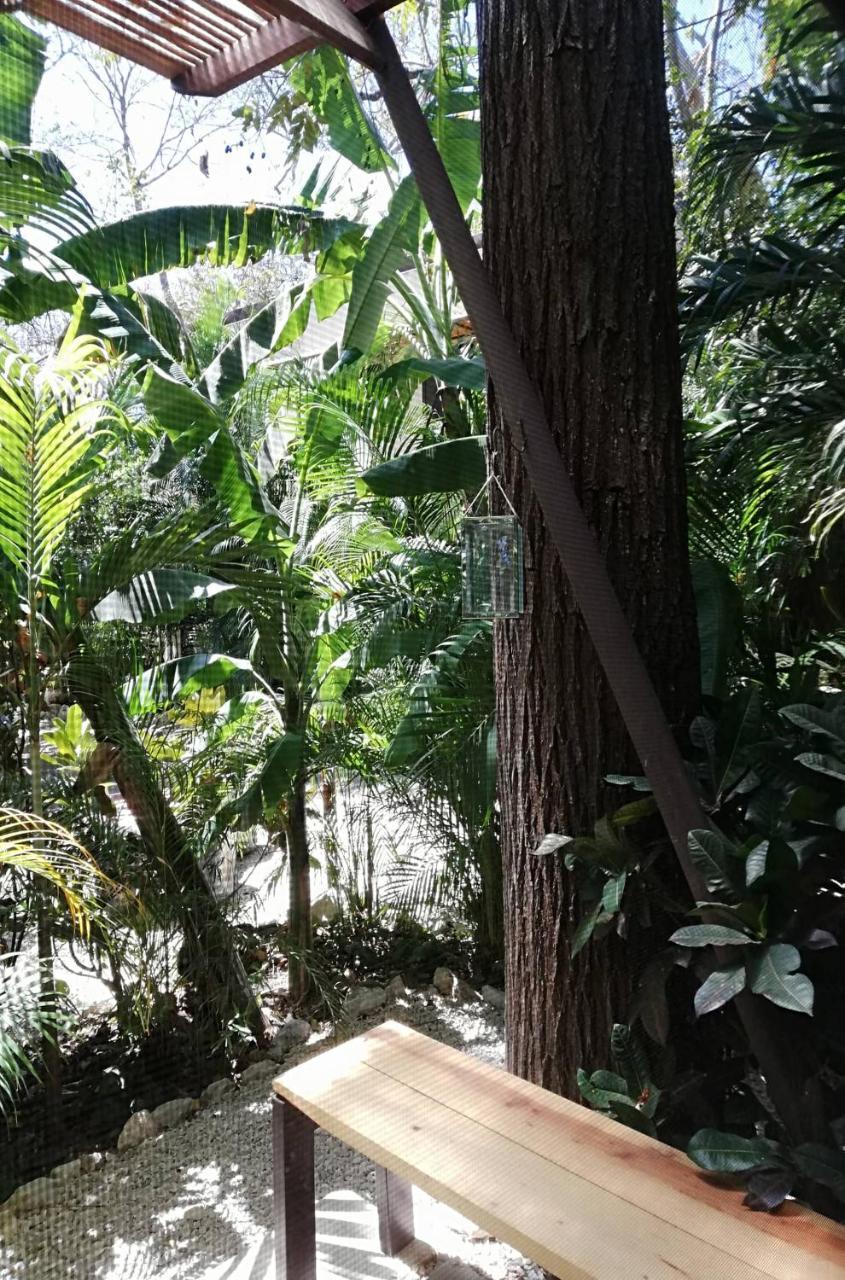 Green Sanctuary Hotel Nosara Eksteriør billede